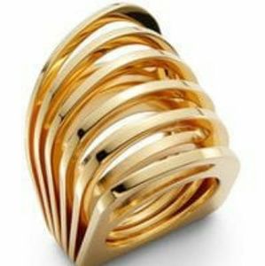 Vita Fede Futuro ring